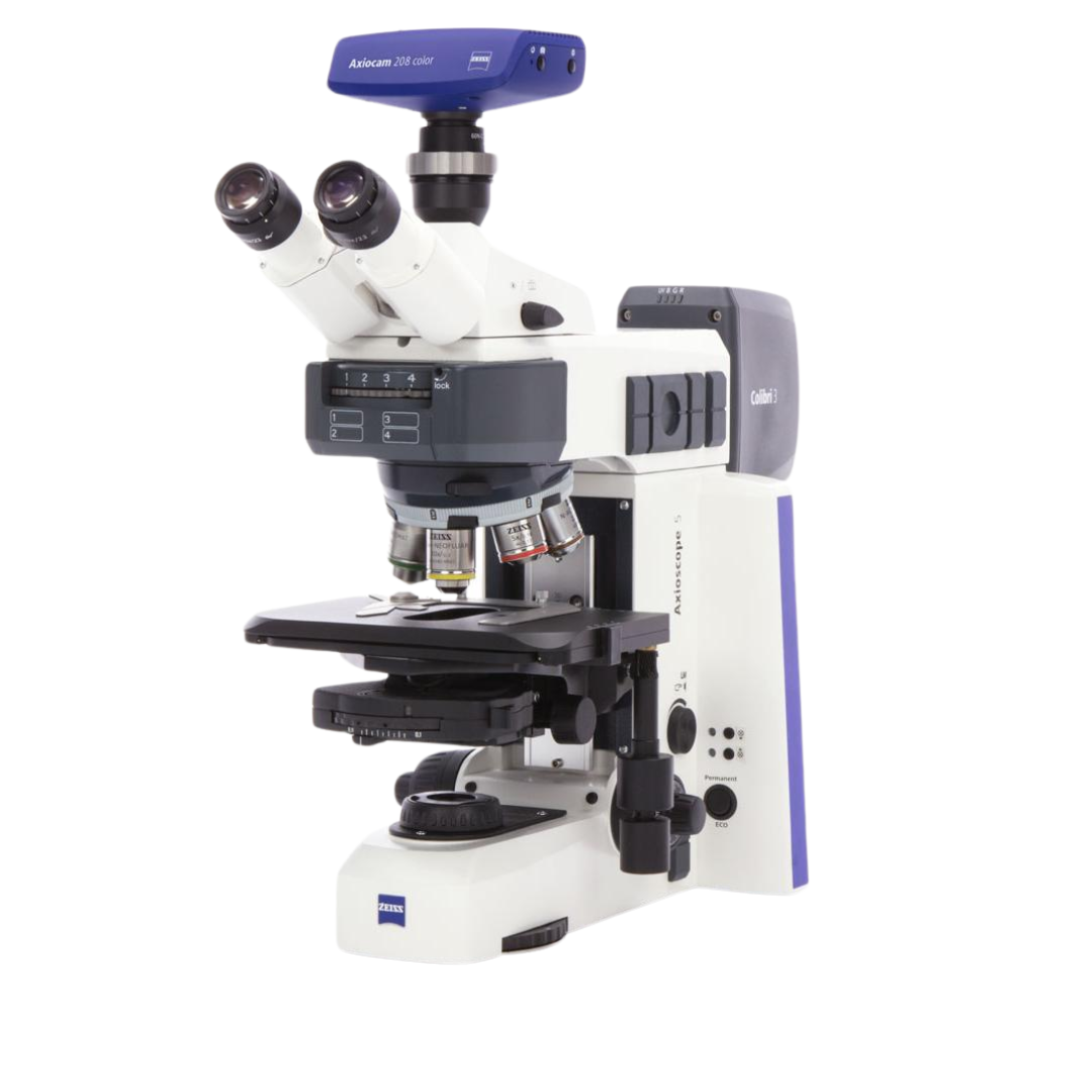 Carl Zeiss Axioscope 5 mikroskopas
