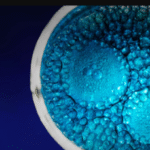 Atrandi Biosciences individualus mikrofluidikos mikroskysciu tyrimai
